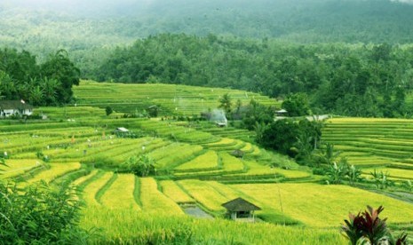 Kawasan Investasi Layanan Distribusi Pertanian