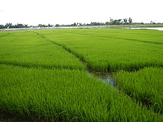 Kawasan Investasi Layanan Distribusi Pertanian 2