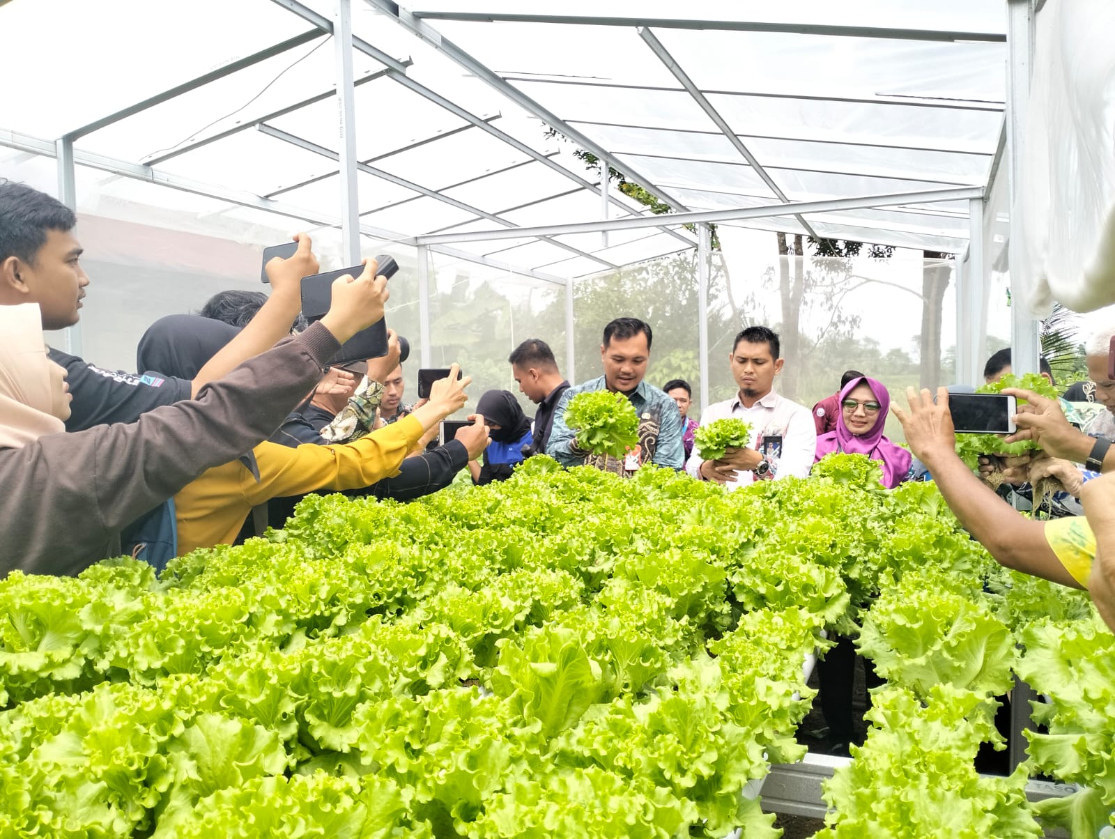 Kawasan Investasi Layanan Perkebunan